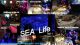Sea-Life-1
