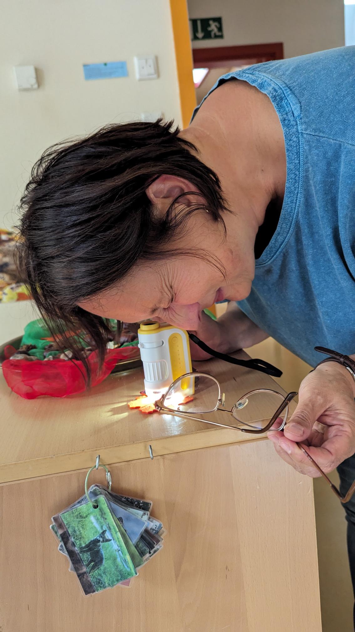 die Umwelt auch mobil erkunden