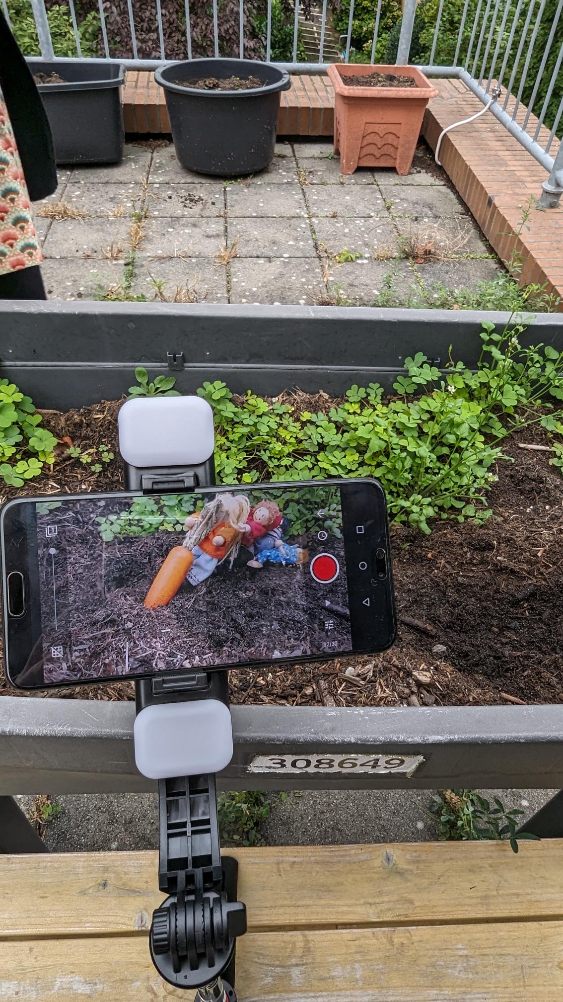 Pflanzen mit vereinten Kräften ernten