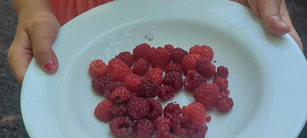 1a10c9e2-3fc8-4adc-94f0-4d9e1d47e96b