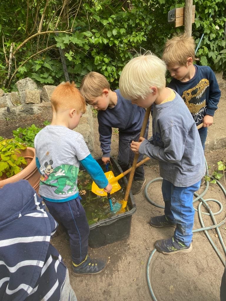 Digit-Tag am Samstag Die Natur um uns herum 41a885a7-9e86-4126-ad4d-a6c75c4c98db