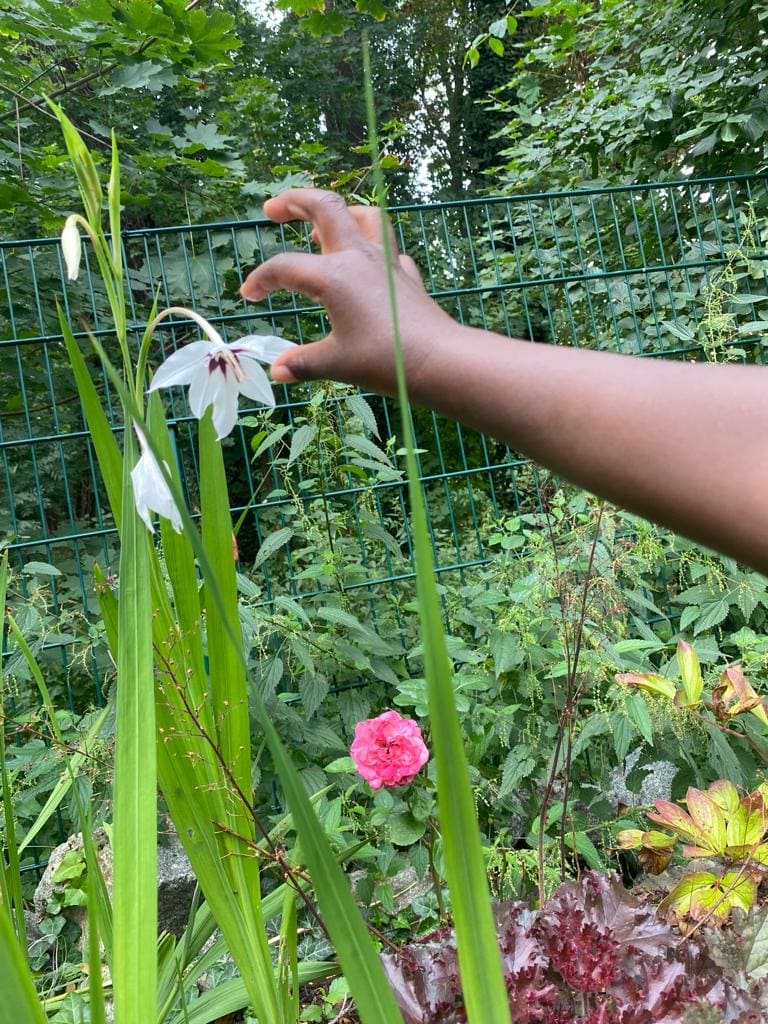 4bc1dc6d-4844-4556-8329-857bca3b47a6