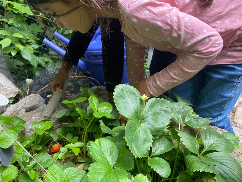 a72cd977-f442-4920-94e1-60635d7705f6