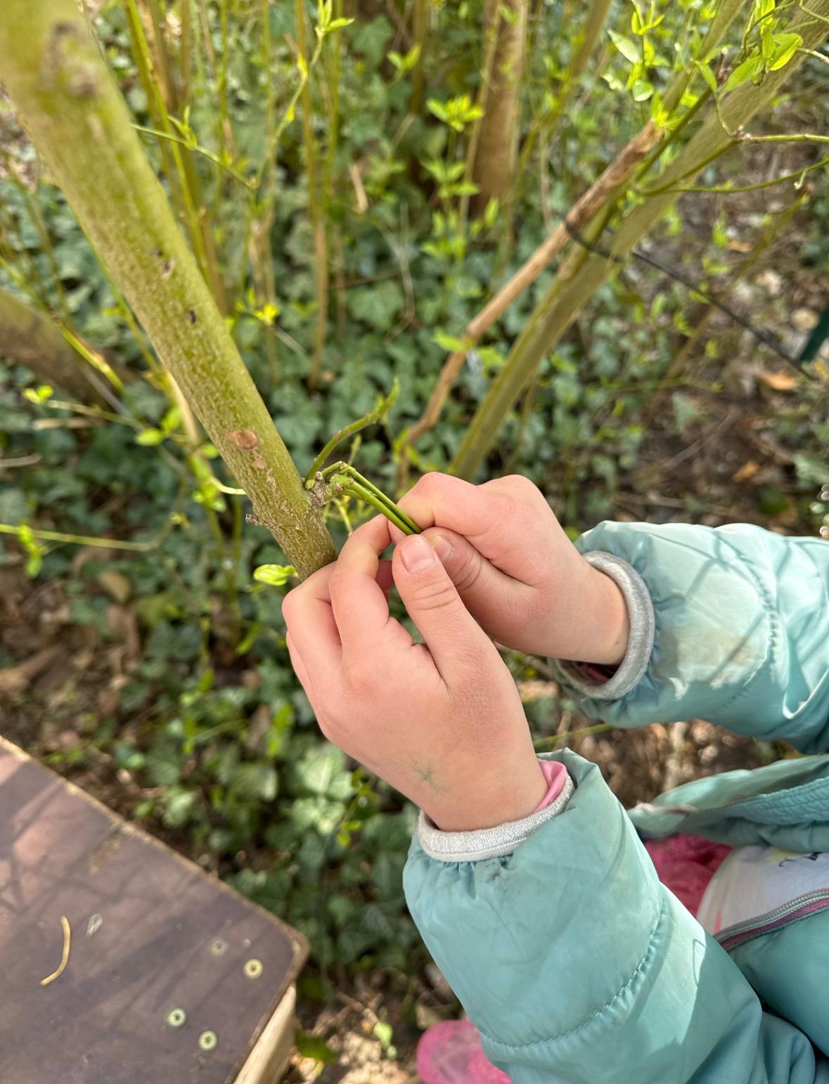 9d7fd212-5bc3-4209-883e-86ec1e9b5480