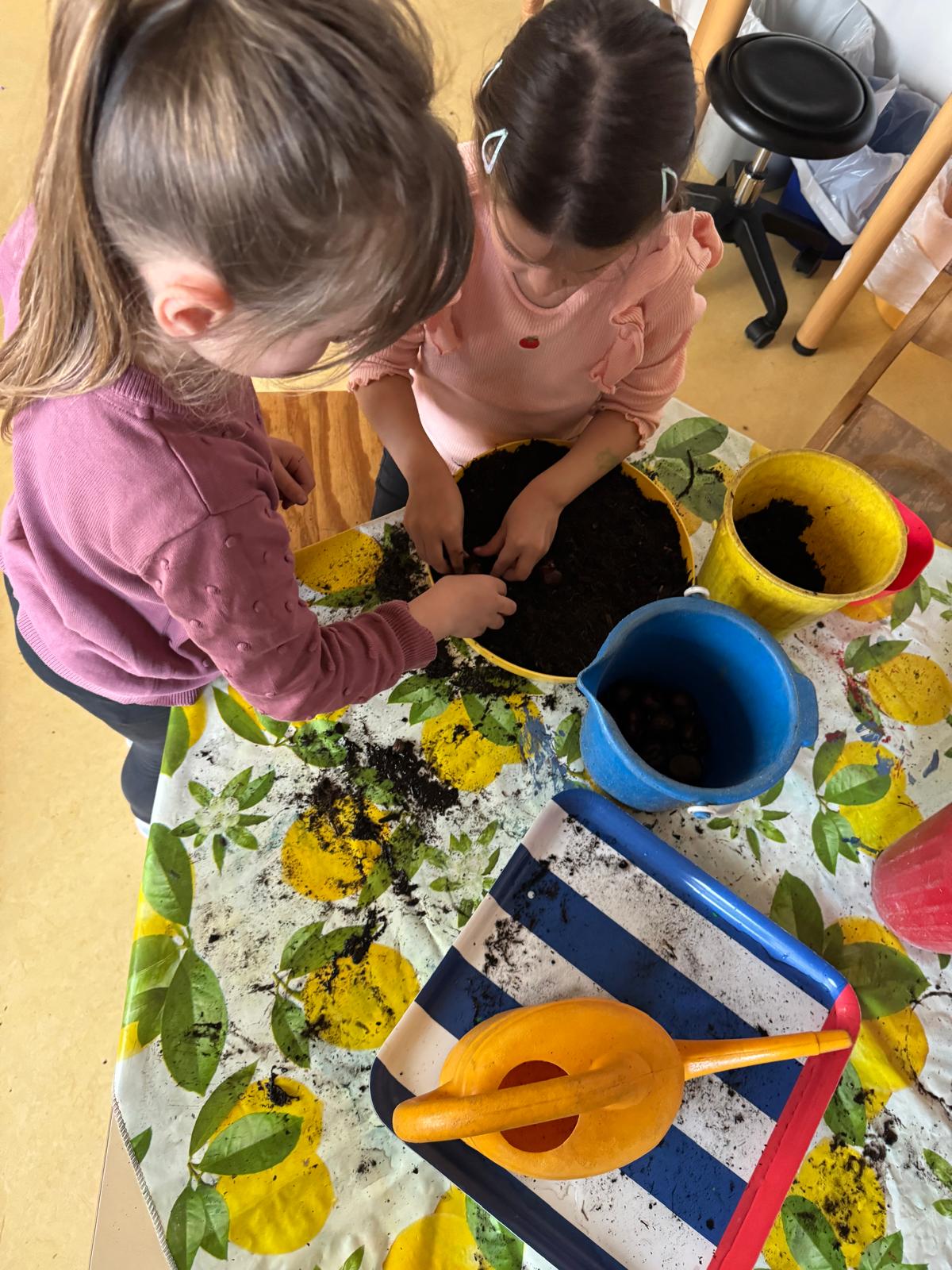 ccccd668-c928-4dae-b378-7b03d8232a33