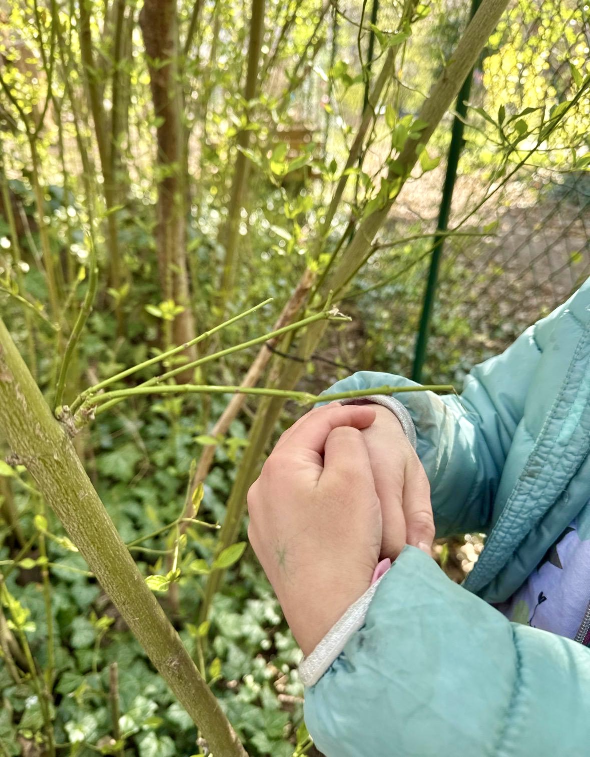 Vorschule nehmen wir sehr ernst - und haben viel Spaß Seifenspender aus unserem Wildnisgarten cd31a5e1-f90c-40ef-937b-d1c443170d3e