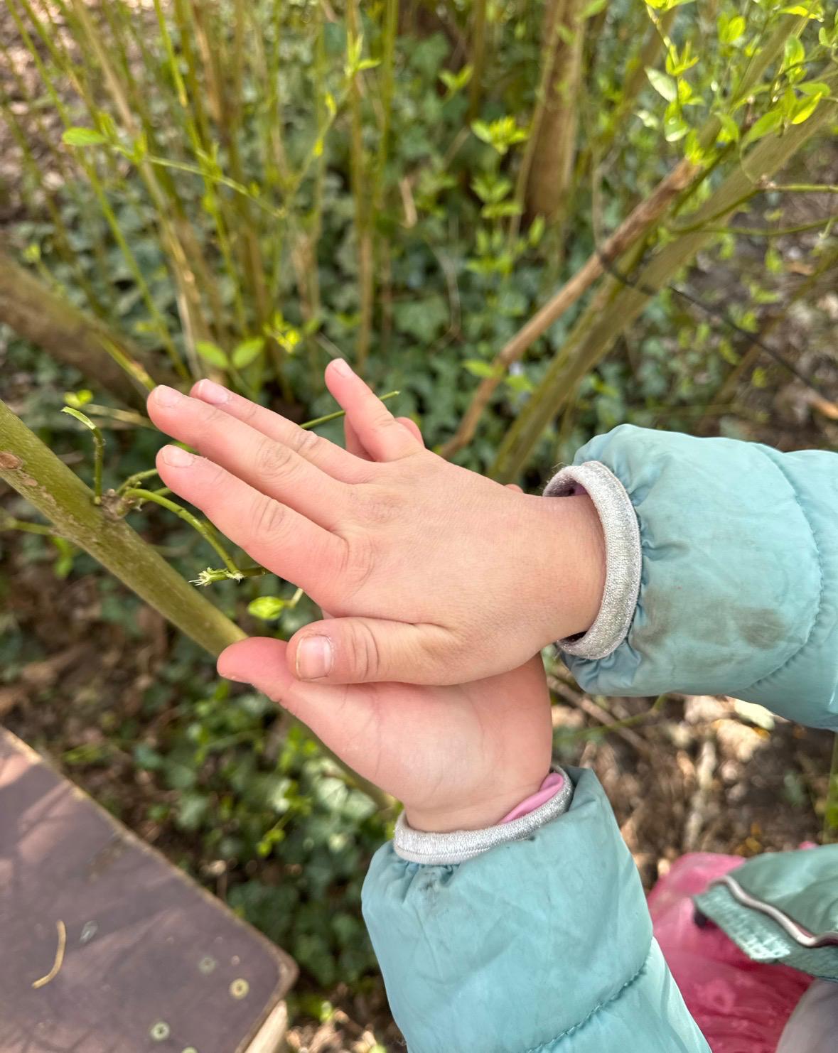 e3260dc6-5972-41ae-a881-65ed6590f52e