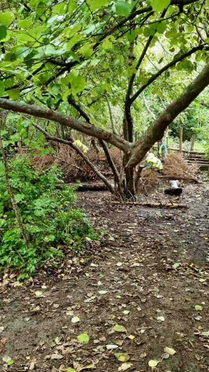 spielen in freier Natur nur 2 min von der Kita entfernt